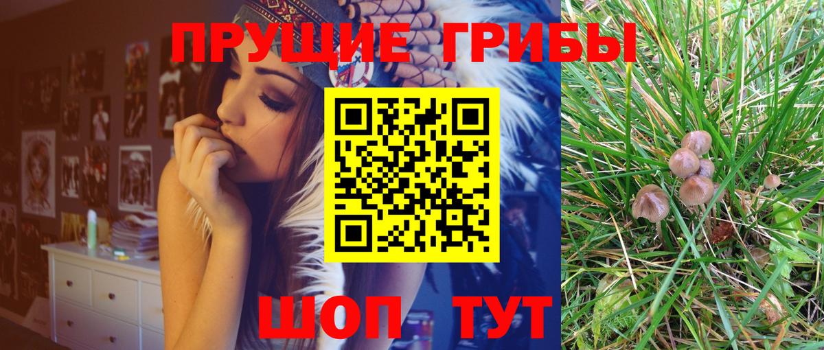 Галлюциногенные грибы GOLDEN TEACHER  Вход с VPN  Псилоцибиновые грибы MAGIC MUSHROOMS  Приморско-Ахтарск 